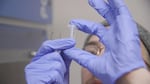 Seattle University senior Sam Levy processes a hair sample.