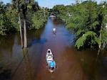 A man tows a canoe through a flooded street of his neighborhood in New Smyrna Beach, Fla., last month. Vibrio vulnificus thrives in warm, brackish floodwaters.