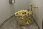 Have you seen this toilet?