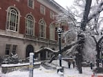 A large tree limb fell on the steps of the Central Library in downtown Portland, Jan. 11, 2017.