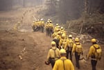 A line of wildland firefighters marches through the woods during the Yellowstone fires of 1988. The massive complex of fires, which burned more than 790,000 acres, was a transformative moment in the country's view of wildfire. 