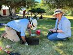 Southern Oregon University archaeologist Keoni Diacamos and an Oregon Archaeology Society volunteer excavate at the Kam Wah Chung State Heritage Site.