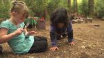 At Cedarsong Nature School, children attend class outside and they set the agenda for what they want to learn.