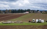 Liepold Farms in Boring, Ore., on Friday, April 3, 2020.
