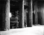 This photograph from 1905 shows the massive scale of the Lewis and Clark Exposition's Forestry Building.