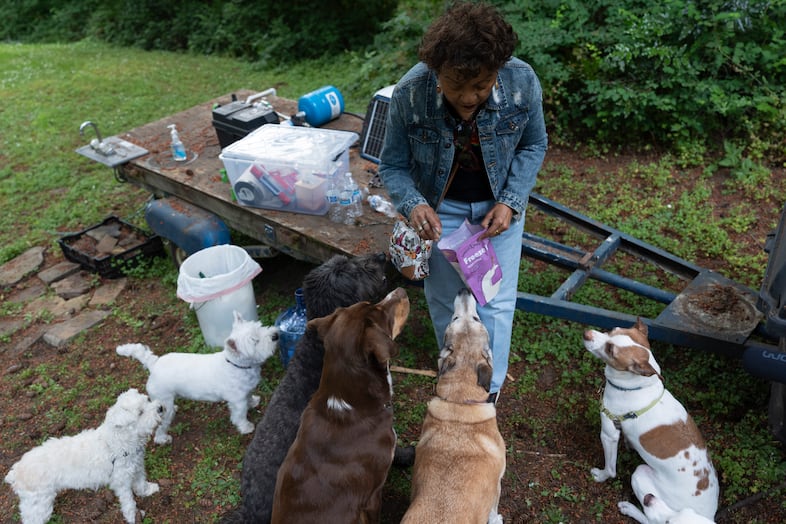 Azucena Coronel hands out treats to dogs during filming.