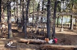 One of several works of art and interactive installations created by earth art teams using fallen limbs, rocks, woodchips, and other scavenged materials.