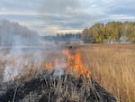 DNR conducts a prescribed burn in Camas Meadows.