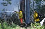 Members of a Hawaii Department of Land and Natural Resources wildland firefighting crew on Maui battle a fire in Kula on Tuesday.