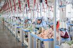 Many de minimis shipments originate in China — and a consumer advocate says the vast majority of Chinese toys imported to the U.S. pose no concerns, particularly if they're being sold by a reputable company. Here, workers produce stuffed teddy bears for export at a toy factory in Lianyungang, in eastern China's Jiangsu province, on Nov. 22, 2024.