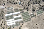 FILE - A marijuana grow is seen on Sept. 2, 2021, in an aerial photo taken by the Deschutes County Sheriff's Office in the community of Alfalfa, Ore.