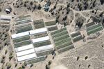 FILE - A marijuana grow is seen on Sept. 2, 2021, in an aerial photo taken by the Deschutes County Sheriff's Office in the community of Alfalfa, Ore.