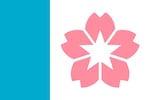 The city flag of Salem, Ore., adopted in 2022, displays a cherry blossom with a central star, flanked by a blue stripe representing the Willamette River.