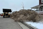 City workers clean up tumbleweeds in South Jordan, Utah, on Tuesday, March 5, 2024. The suburb of Salt Lake City was inundated with tumbleweeds after a weekend storm brought stiff winds to the area.   The gnarled icon of the Old West rolled in over the weekend and kept rolling until blanketing some homes and streets in suburban Salt Lake City.