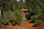 A trench dug by a previous mining company at its Red Flat claim in Curry County in June of 2026.