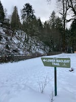 Lower Macleay Park still featured a snowy trail along Balch Creek on Monday.