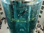 In a file photo, a diver cleans the glass of the giant cylindrical aquarium known as the AquaDom in Berlin, Germany. The massive aquarium burst on Friday.
