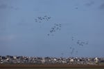 Humanitarian aid falls from planes over northern Gaza as seen from Israel's southern border with the Gaza Strip on March 7.