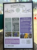 A sign displays information about native plants at the ground breaking of tumwata village in Oregon City May 28, 2026.