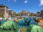 Protesters seen in tents on Columbia University's campus on April 24. The school later suspended protesters who didn't leave, and called New York City police to arrest those who occupied a building on campus.