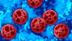 Cyclosporiasis is a foodborne illness caused by contaminated food or water carrying the Cyclospora parasite. FDA officials have yet to figure out the source of the outbreak that the CDC says has sicked more than 1,600 people this summer.