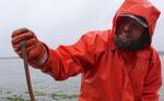 "Sand Shrimp" Seth Smith examines a blood worm pulled from an eel grass bed in Coos Bay.