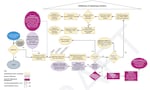 A detailed flow chart, showing what steps the county will take when directing someone through its deflection program.