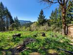 Karie Fugett's farm in Drain, Oregon