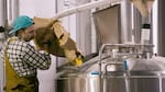 A man fills a large metal container used for brewing beer with the contents of a bag of flaked corn.