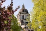 FILE - The Washington State Capitol building on April 25, 2025, in Olympia, Wash.