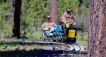 Jeff Mills rides his train through the ponderosa pines.