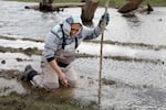 Alvey Seeyouma of the Hope-Tewa tribe plants a wapato bulb in the wetland created by a $31 million restoration project at the Steigerwald National Wildlife Refuge