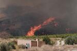 A wildfire rages in Alfajir, near Almeria in southeastern Spain, Friday.