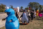 People dressed in inflatable costumes protest outside the U.S. Immigration and Customs Enforcement facility in Broadview, Ill., Sunday, Oct. 12, 2025.