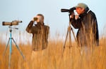 FILE - In this Dec. 22, 2010, file photo, Chris Brantley, right, of Mandiville, La., and Hans Holbrook, of LaPlace, La., look though monoculars for birds during the National Audubon Society's annual Christmas bird count on the Gulf Coast in Grand Isle, La. 