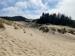 The Oregon Dunes Day Use Area on a late summer day with some clouds in the sky.