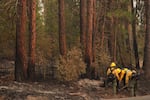 A wildland firefighting crew does mop-up work on wooded hills near the Spokane River after a wildfire hit the northern part of Spokane, Wash., Monday, Aug. 3, 2026.