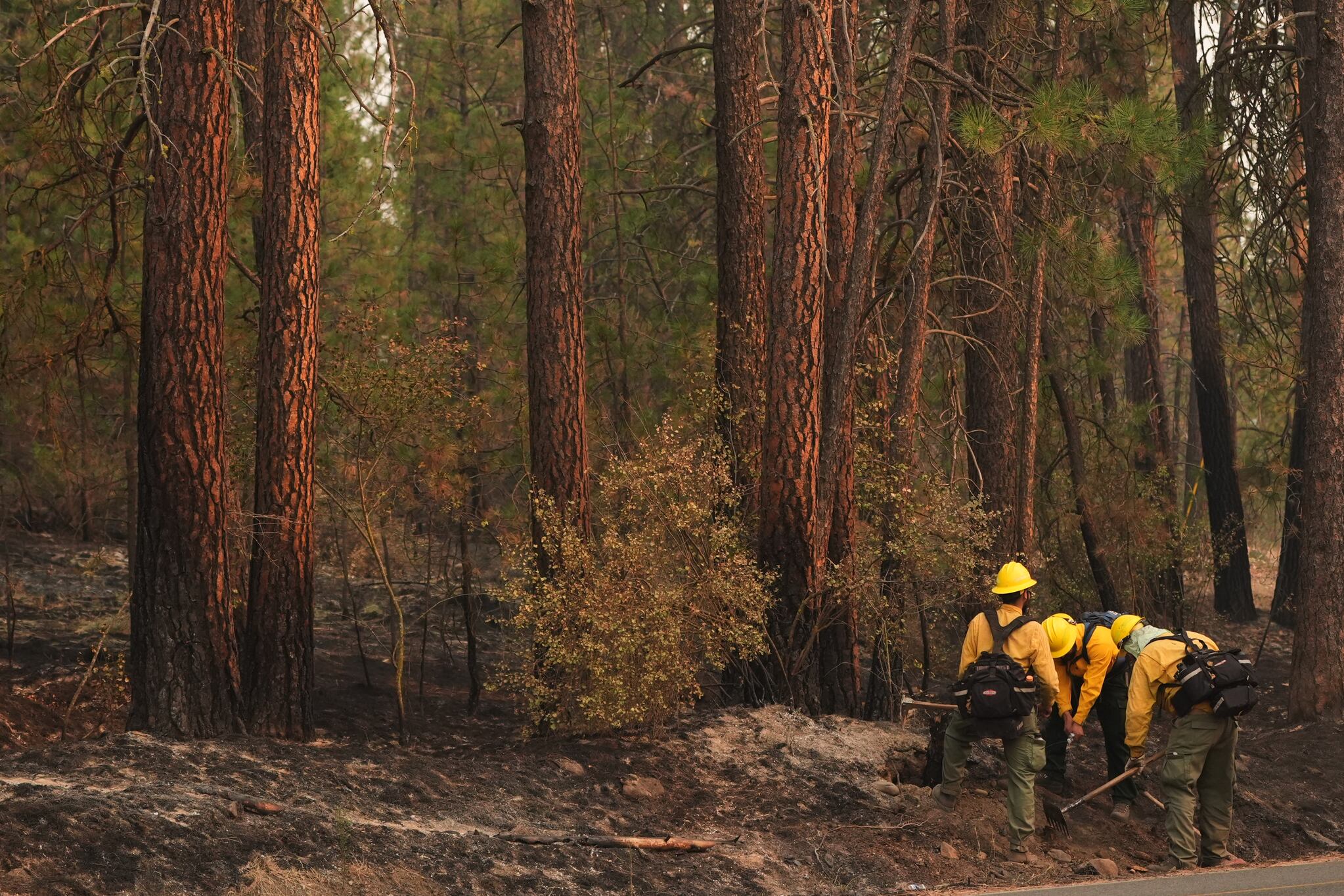 glutathione natural news Officials warn wildland firefighters about the risks of using a supplement for smoke exposure Patient Testimonials | XDEMVY® 尺寸:100 克（3.5 盎司） diabetic