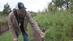 Jeremy Ojua manages a native plant nursery for the Confederated Tribes of Grand Ronde on reservation land in June 2022.