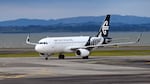 Air New Zealand is asking thousands of travelers to stand on scales before embarking, but it says no one will know what their weight is. An Air New Zealand plane is seen here at Auckland International Airport.