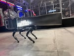 A Detroit-themed quadruped is part of the action at the Robowar show