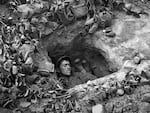 An American soldier sleeps in a trench in Normandy during Operation Overlord in the summer of 1944.