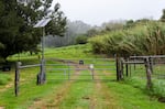 The gate to a large property in Waimea. Median home prices in the area are up 87% from pre-pandemic prices.