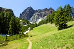 a slim dirt trail winds through a grassy meadow below the tree line before a craggy mountain peak