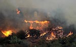 Many homes are destroyed in wildfires due to wind-driven embers that get caught in the landscaping. California is now drafting rules that would limit vegetation within five feet of a house.