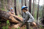 Tiffani Aryes learns the skill of cutting logs with a two-handle crosscut saw during her summer internship with the Siskiyou Mountain Club.