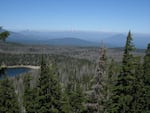 Damage from mountain pine beetles on lodgepole and whitebark pine trees in Deschutes National Forest.