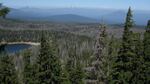 Damage from mountain pine beetles on lodgepole and whitebark pine trees in Deschutes National Forest.