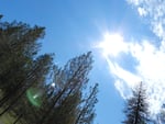 Ochoco National Forest in 2011.