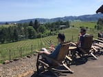 At Vidon Winery, visitors sip wine while looking out over fields of grapes in the Willamette Valley.